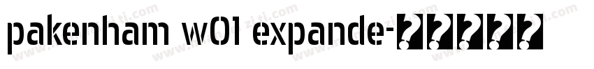 pakenham w01 expande字体转换